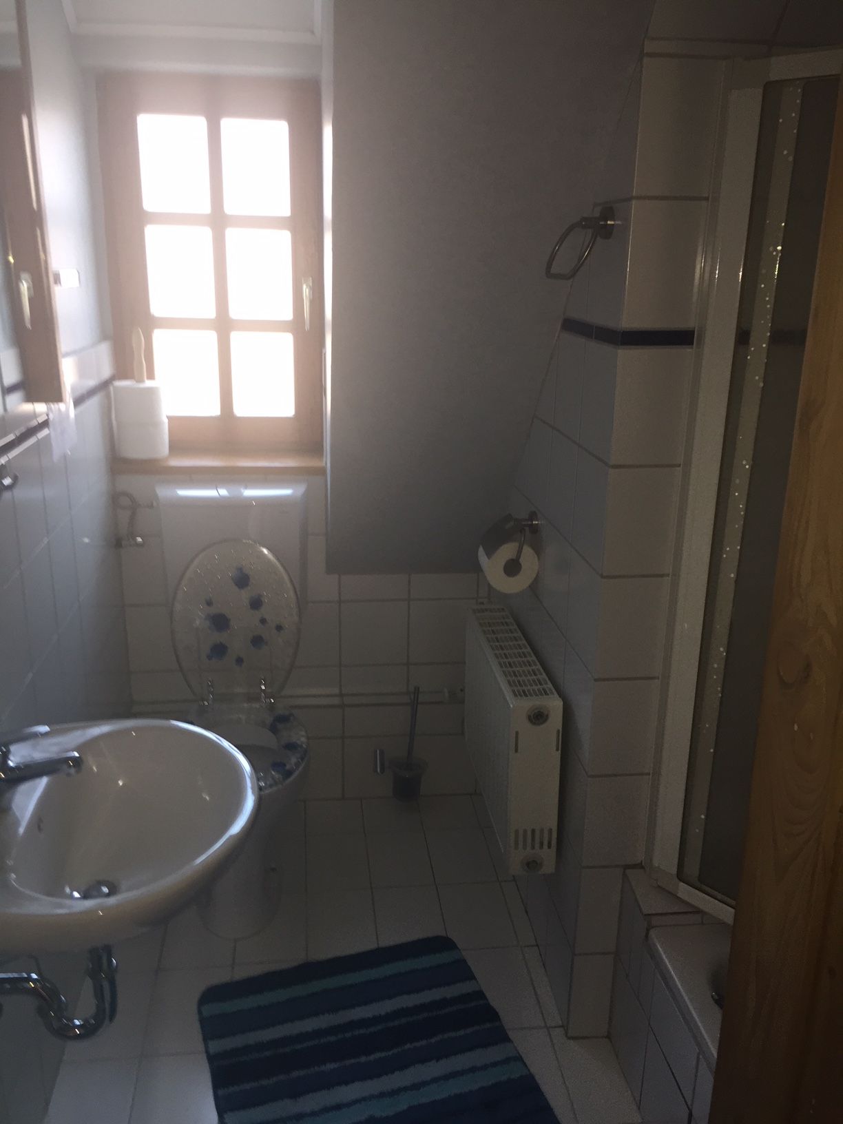 Duschbad / WC
